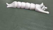 pisica imprimata 3d