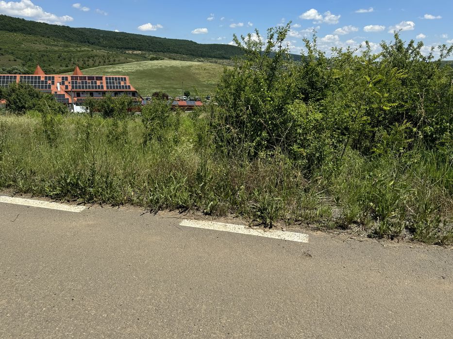 Vand 1000 MP Intravilan Suceagu , Bonanza Pentru Casa , Hala