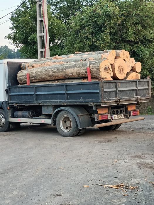 Lemn de foc fag bustean