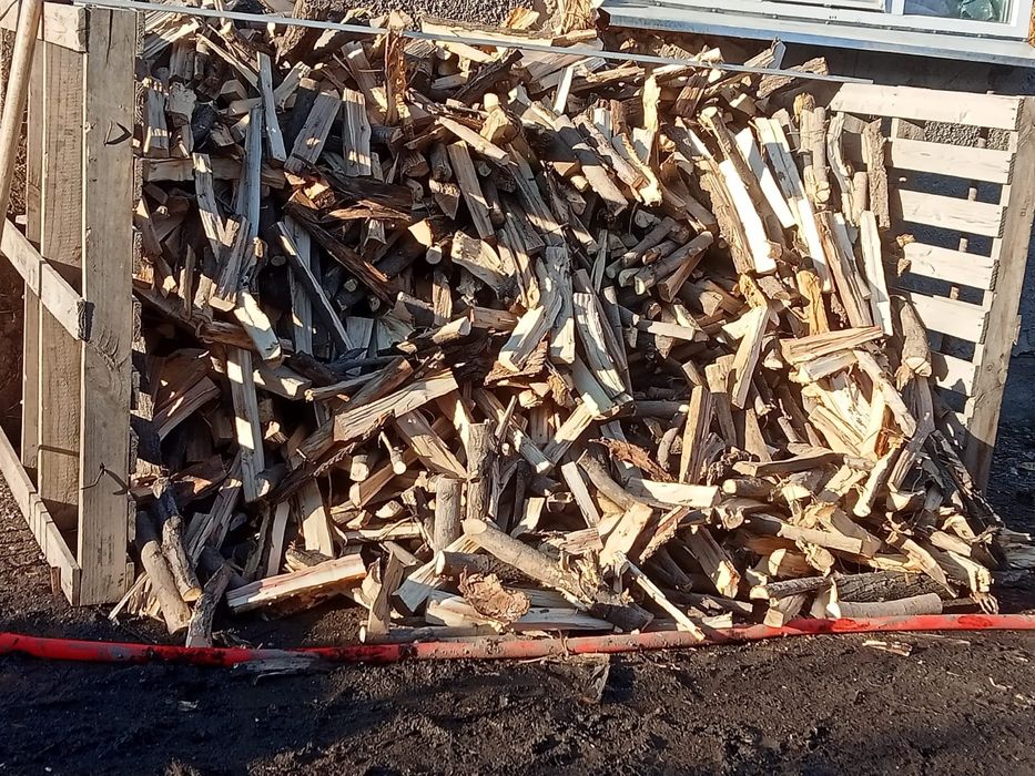 Дрова карагач,яблоня, клён