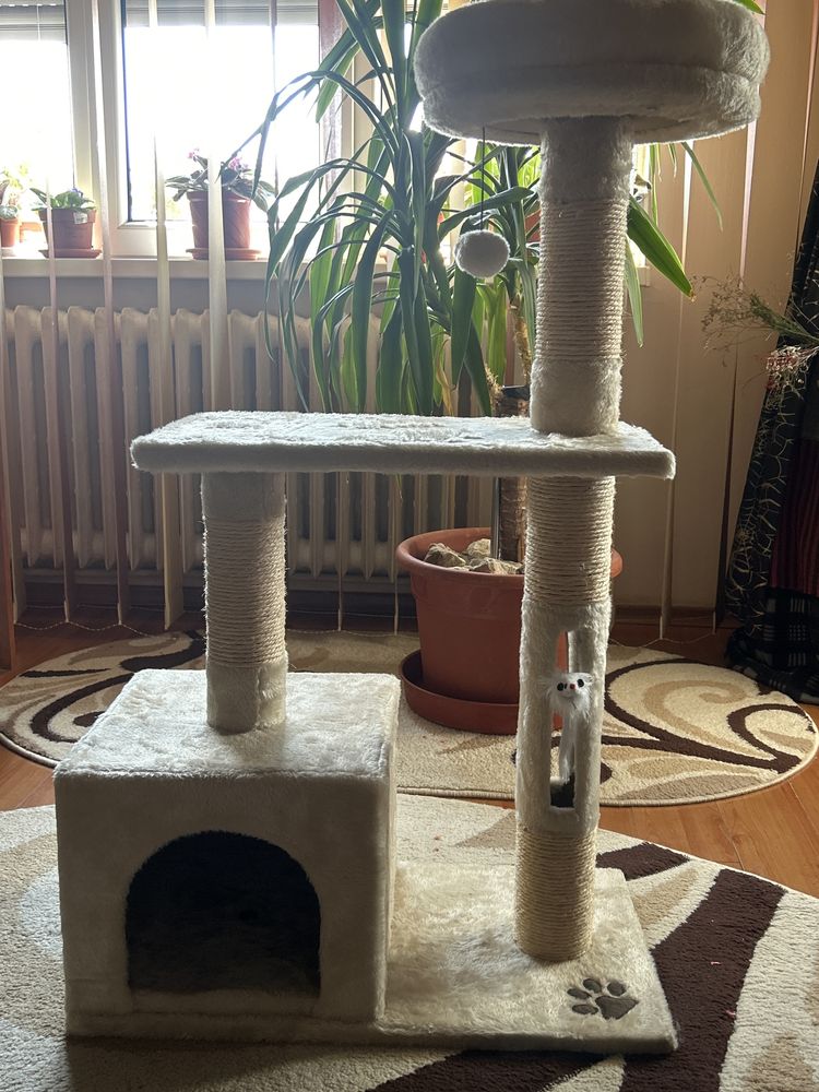 Casa pentru pisici
