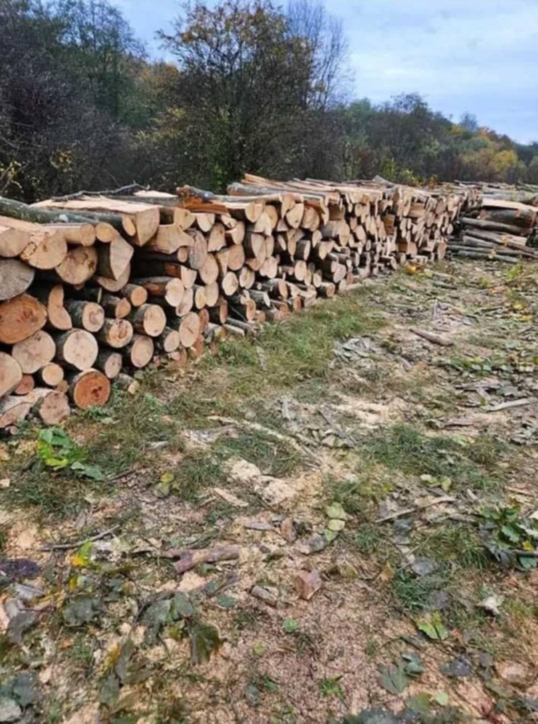 Lemne pentru foc
