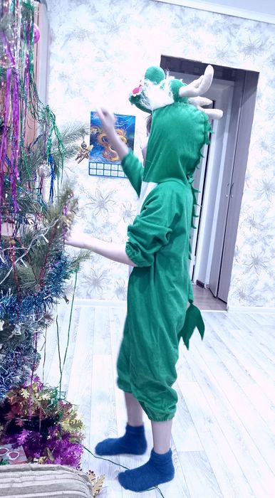 Новогодние костюмы