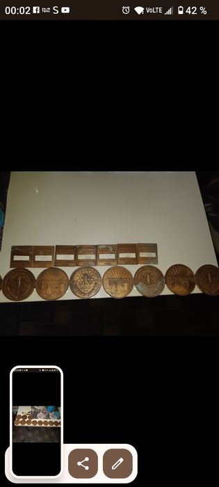 Medalii din bronz pentru apicultura