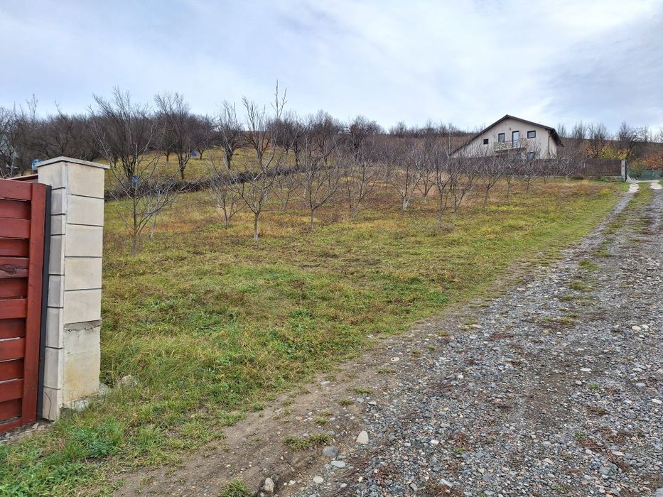 Vand teren intravilan Dezmir