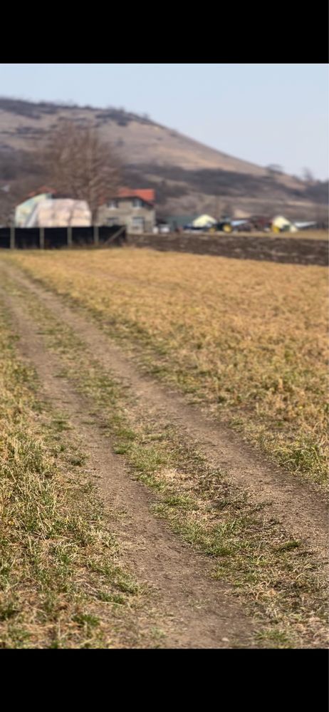 Vand teren intravilan la 5 minute de aiud , miraslau strada principala