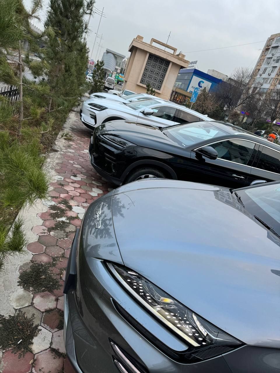 Byd Song Chempion Plus EV растоможена