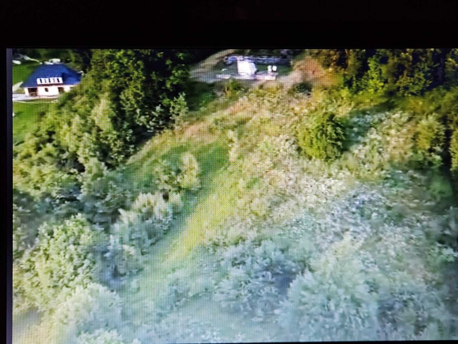 Teren Buhalnița Neamț