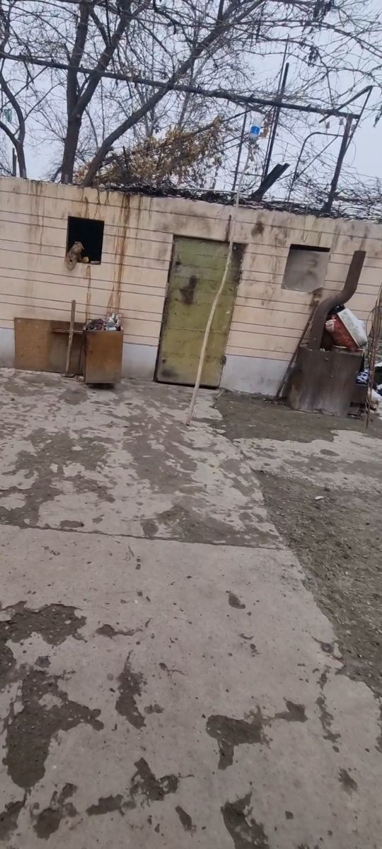 Продаю ДАЧУ 6-соток в Фергане киргилях зади азот завода