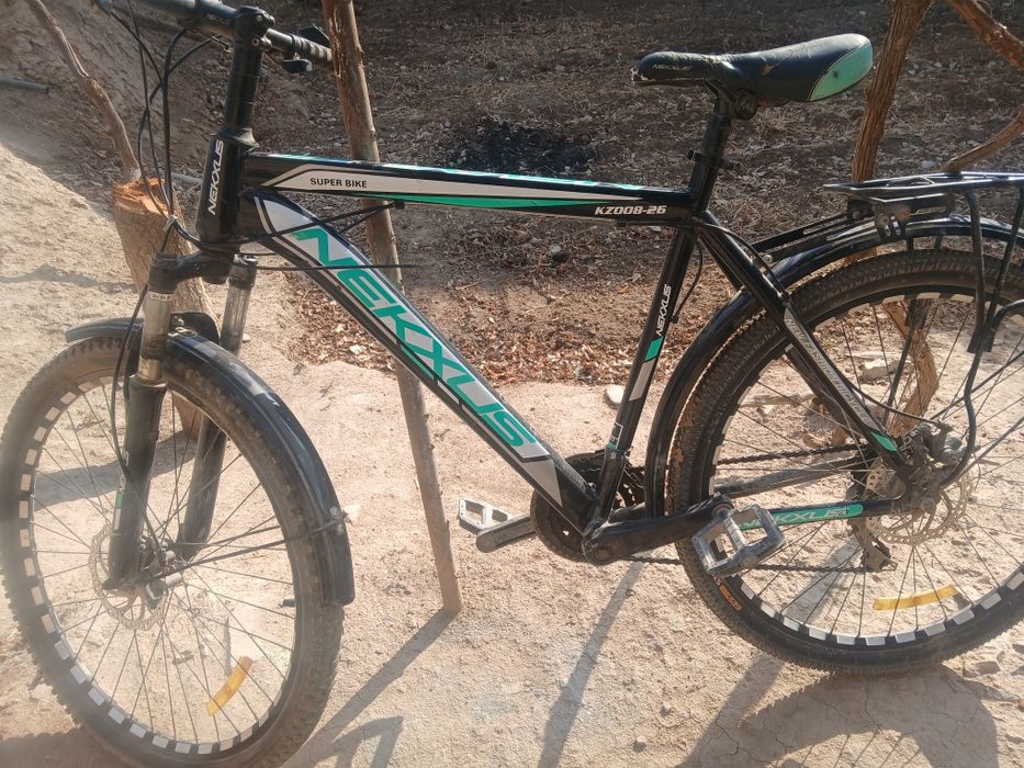 Velik sotiladi narxi telda