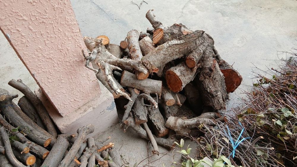 Oʻtin bor bir zil chiqib qoladi