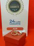 (AG46) Cercei aur 14K B.3500