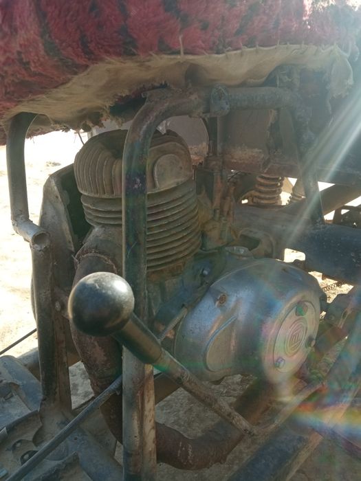 Муравей СССР российской