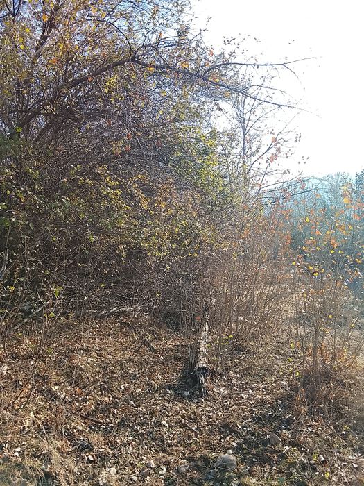 Продается участок