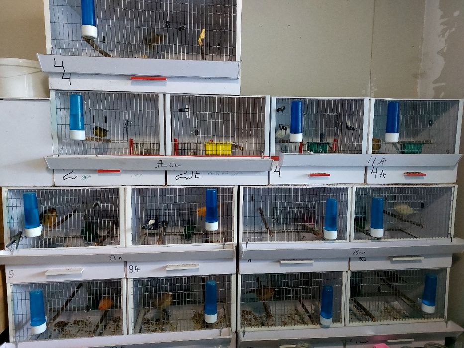 Клетки для птиц 1 секционные и 2 секционные