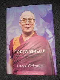 Forța binelui, Viziunea lui Dalai Lama pentru lumea de azi