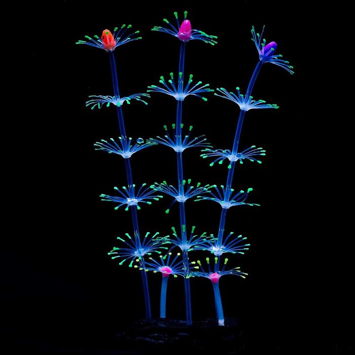 Plante artificiale pentru acvariu, Uniclife