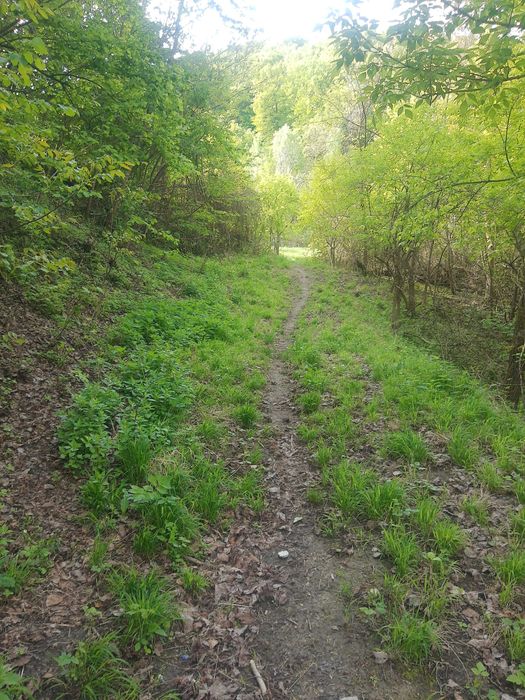 VAND TEREN in Valcea/Vladesti 2200 mp