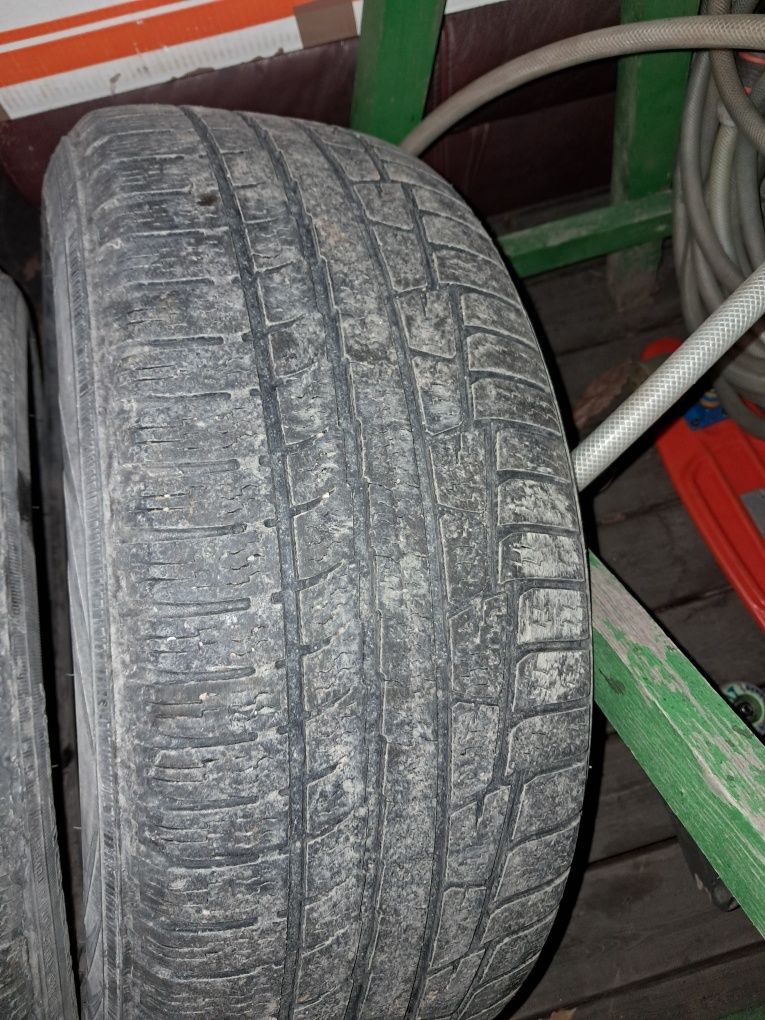 Нокиан 225/50/17 пара