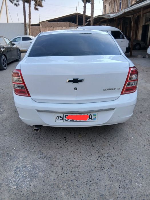 Cobalt 2 pozitsiya kraskasi 100%