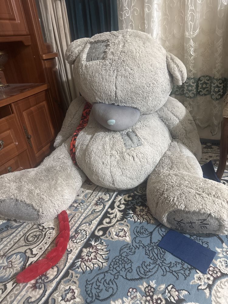 Teddy мишка сотилади
