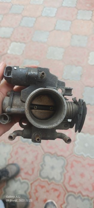 Zaslonka lada samaraniki