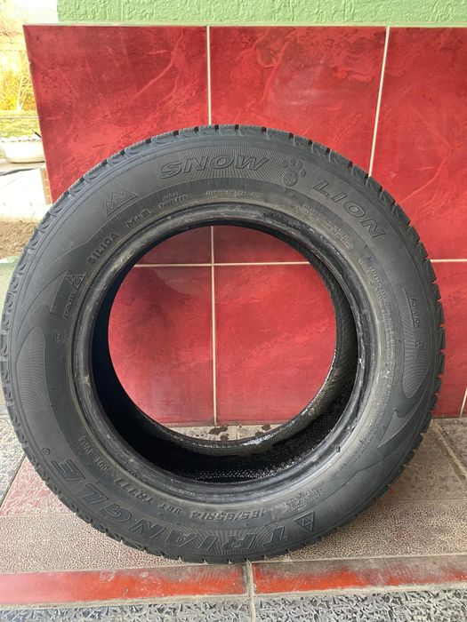 Зимние шины Triangle