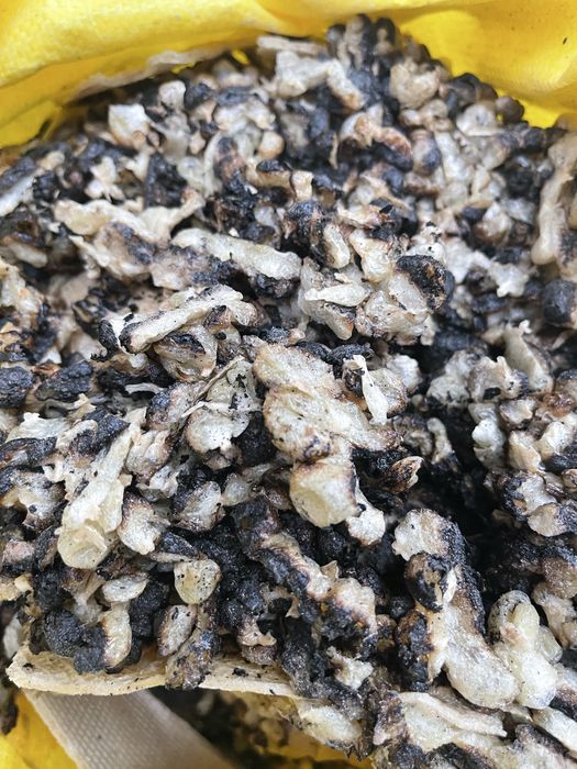 Mol qoy ot uchun athot