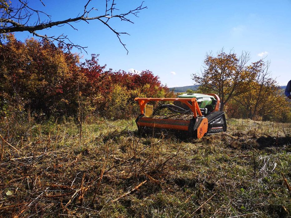 Servicii defrisare vegetatie, intretinere gradini si deszapezire