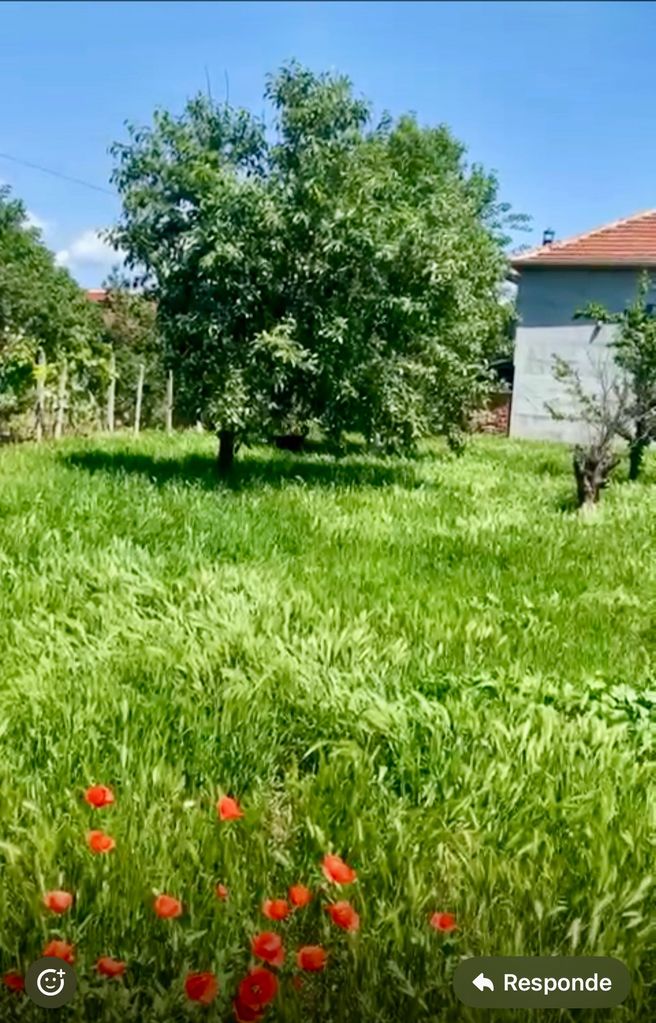 Продава се Къща в Пловдив, Център - 140 кв.м за 400 €/кв.м - Снимка #9