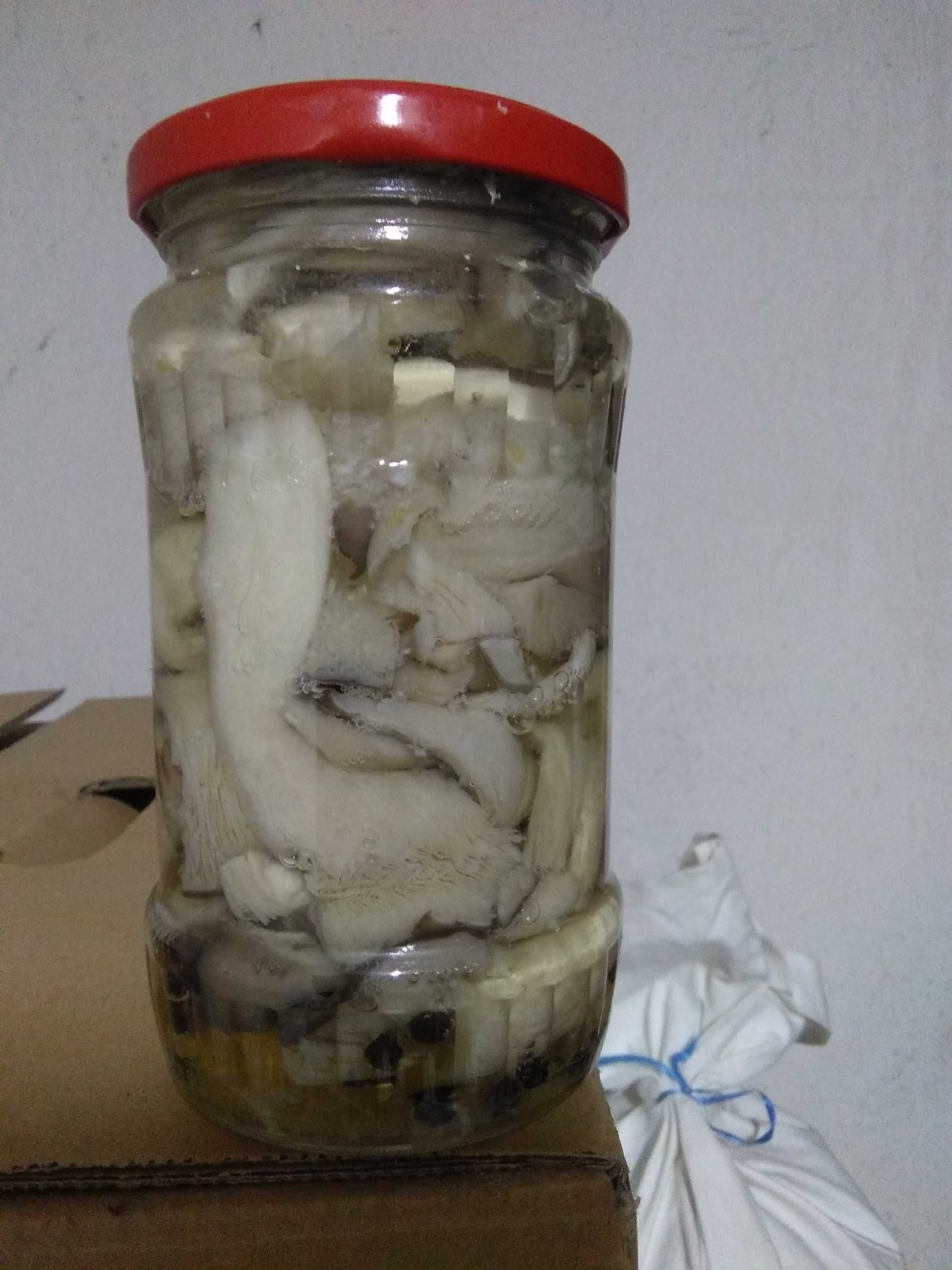 Vand ciuperci pleurotus(pastrav de fag)conservate