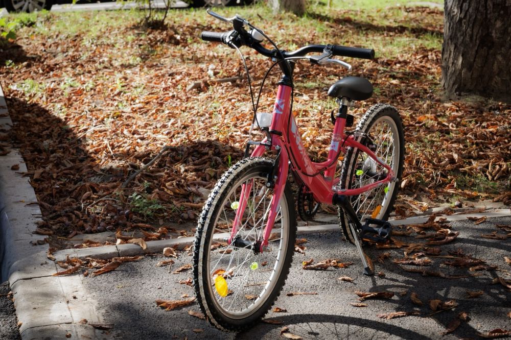Bicicleta roz MTB Princess 20"