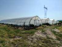 Оранжерии 8* 30*3,50