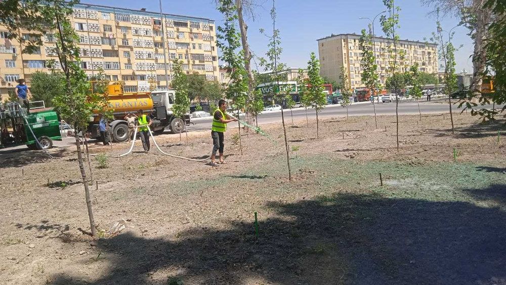 Гидропосев газона. Работаем по всему Узбекистану. Жидкий газон.