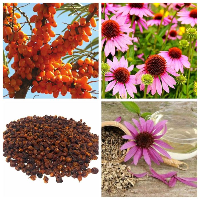 catina/ -80 ron deshidratate BIO ptr imunitate pachet mic