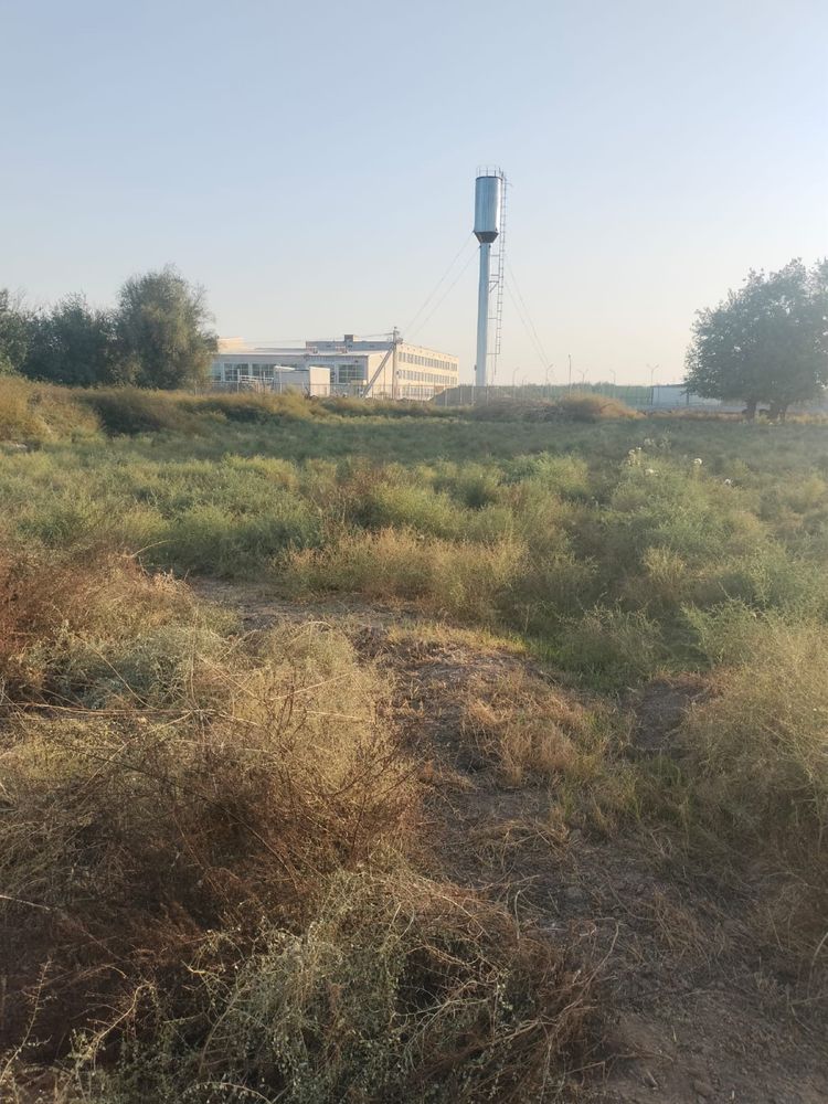 Жерсатылады тезарада