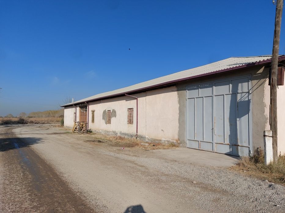 Tayor ferma sotiladi !