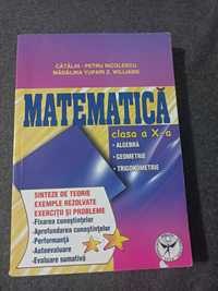 Culegere matematica clasa 10
