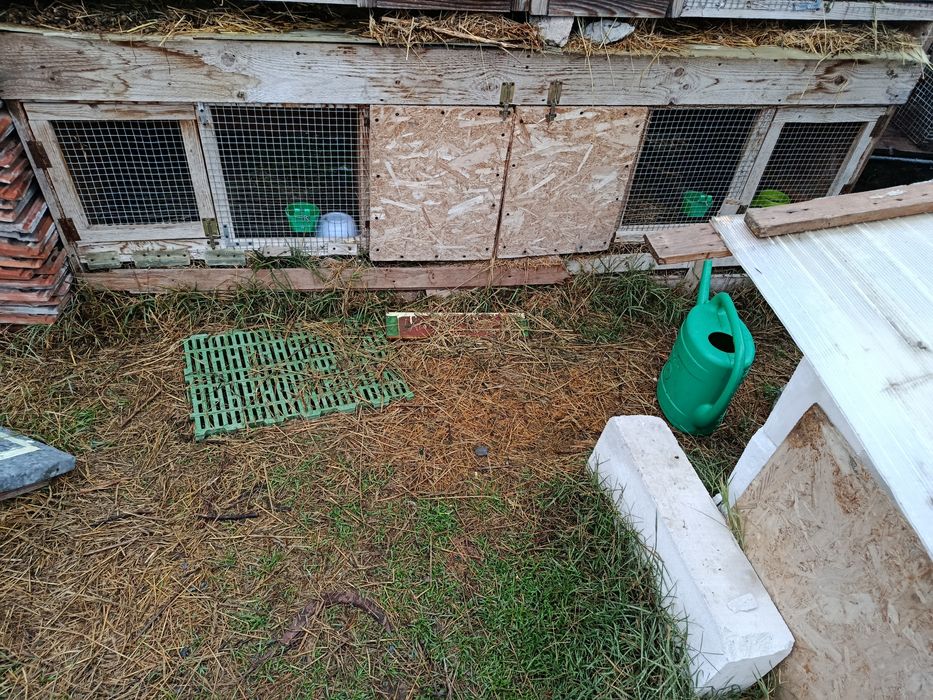 Coteț de iepuri bun și ieftin