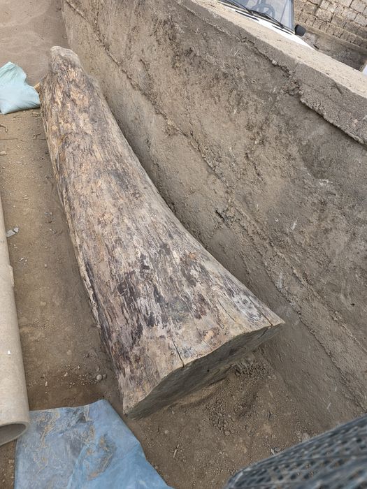 Yong'oq toza mebel va yog'ochli ishlanmalaga zo'r.