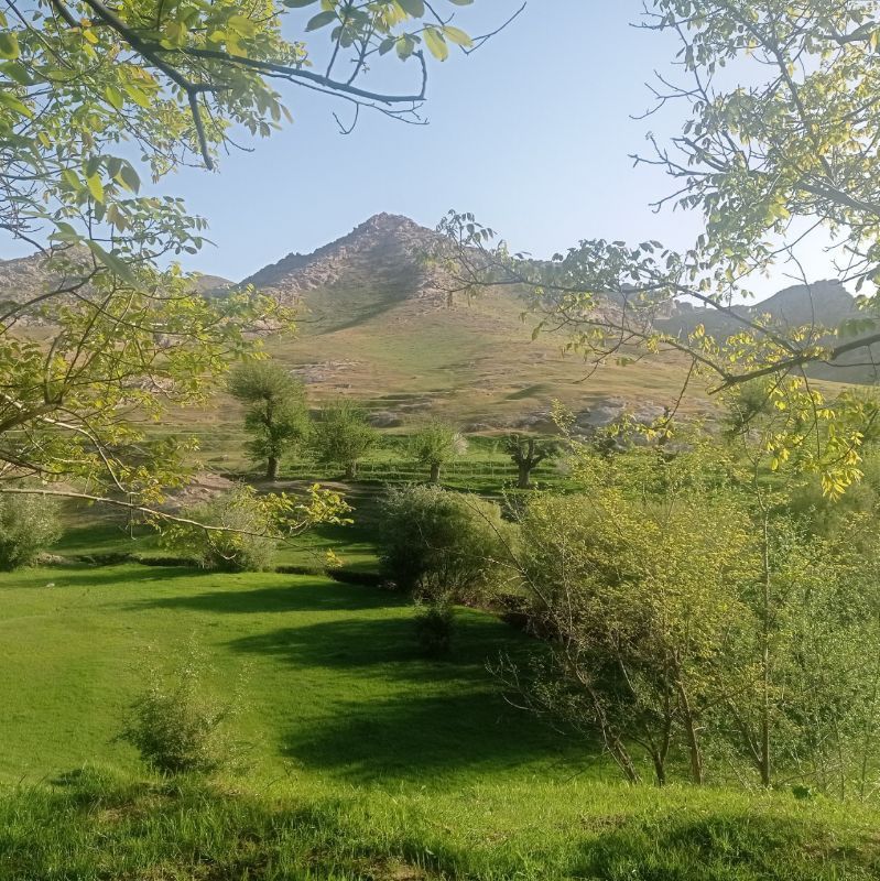 Shamolsoy dam olish maskani Samarqand