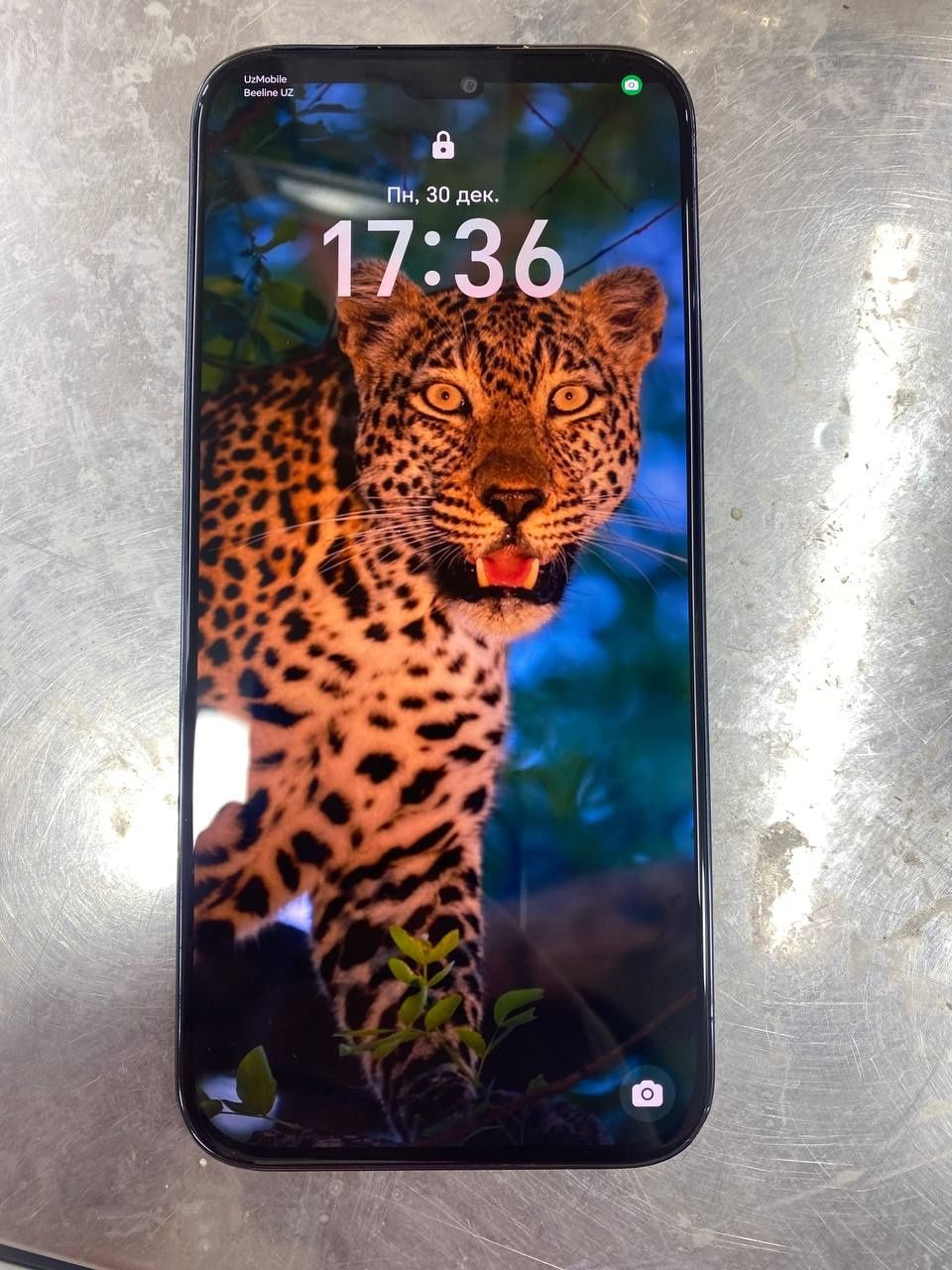 Xonor 8b LLY-Lx1