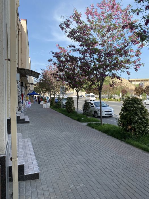 Сдаётся  в аренду