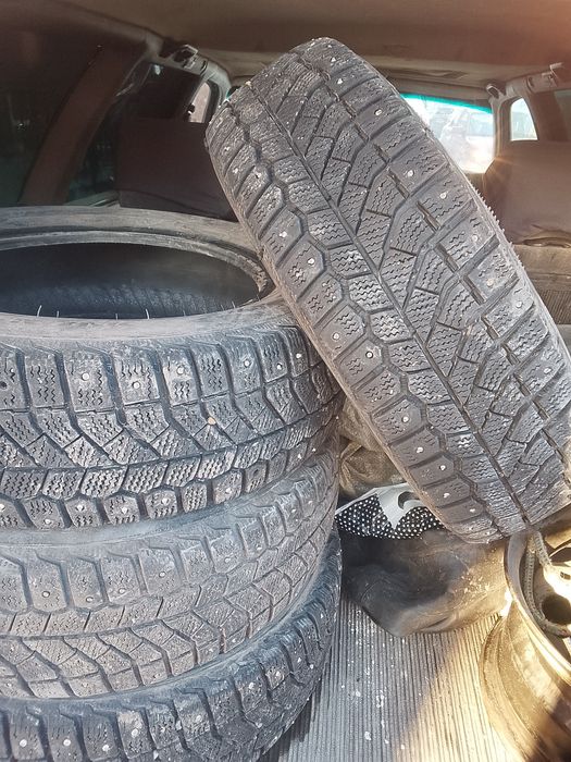 Шины зимных цыпы