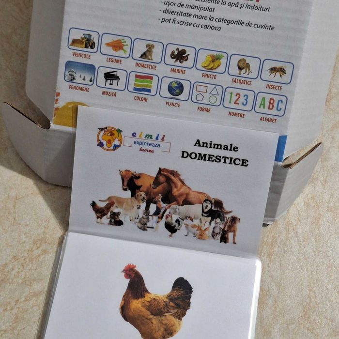 Cartonase educative/ flashcards