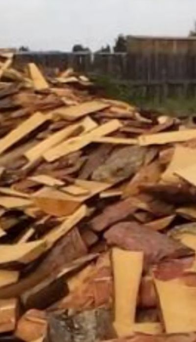 Дрова  сосна рубленные