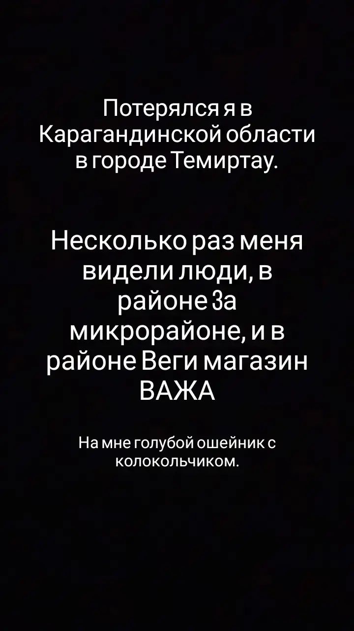 Пропал щенок, пожалуйста откликнитесь!!!