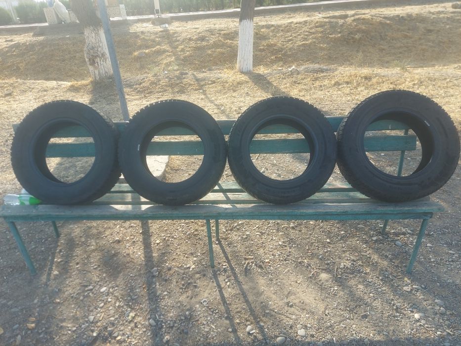 Зимние шины triangle