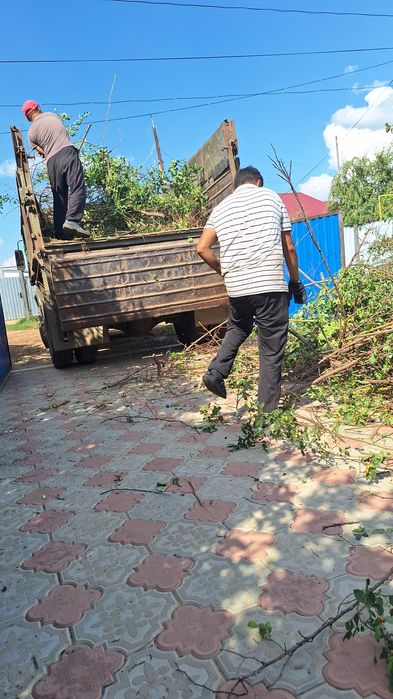 Вывоз мусора с грушяками и без.