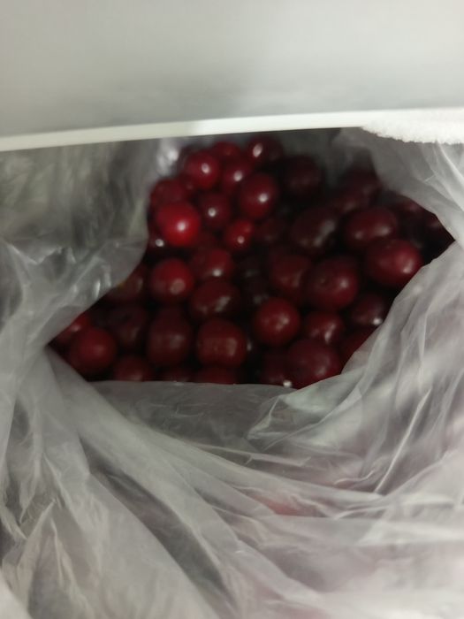 Домашняя ВИШНЯ с ДАЧИ